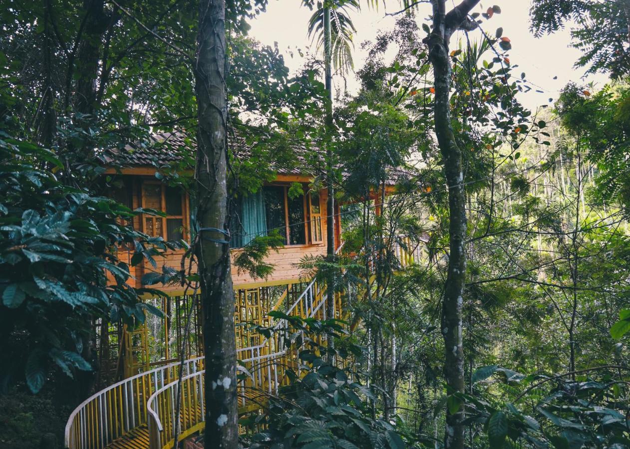 Bamboo Creek Resort Vaduvanchal Buitenkant foto