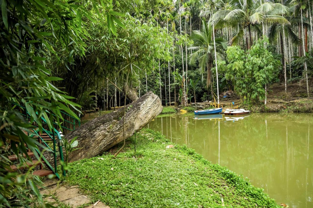 Bamboo Creek Resort Vaduvanchal Buitenkant foto