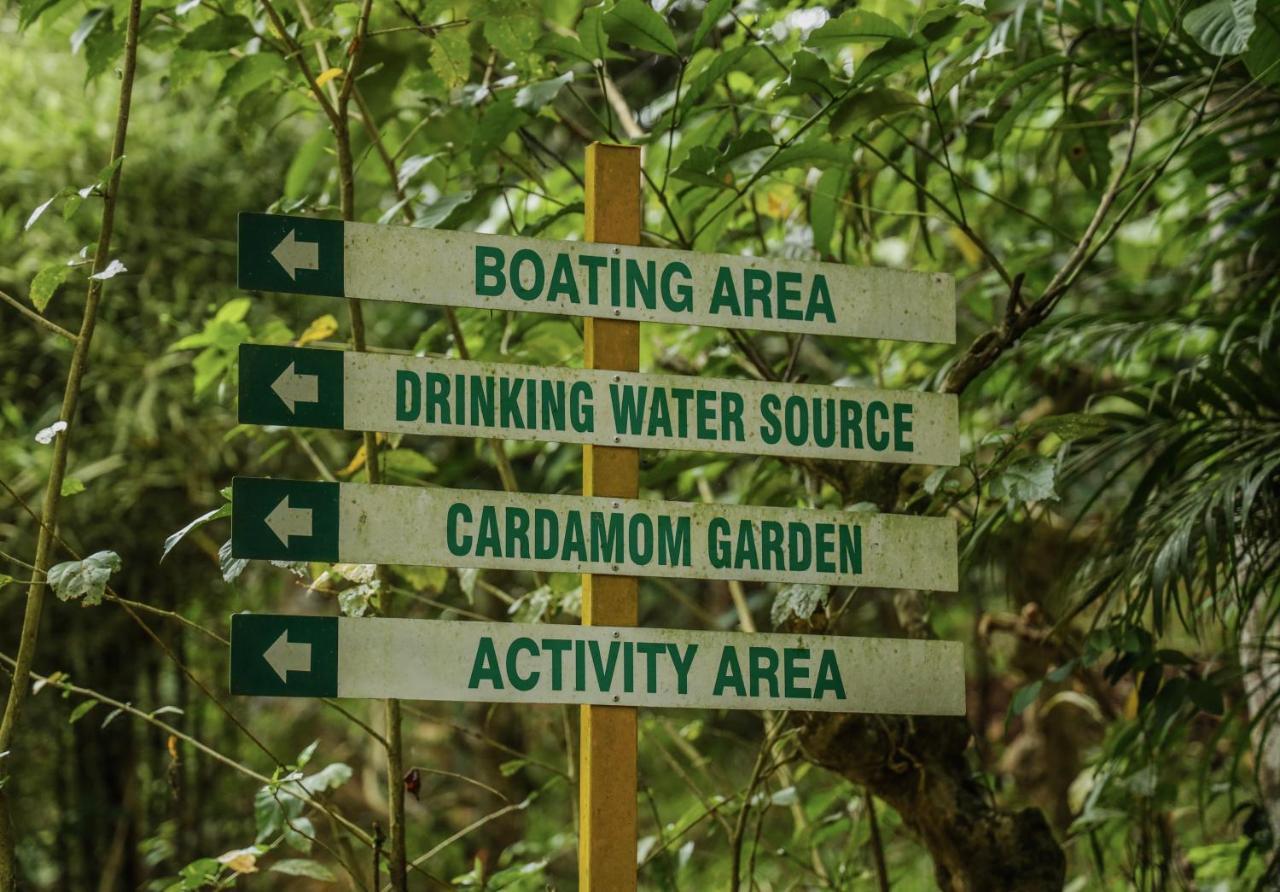 Bamboo Creek Resort Vaduvanchal Buitenkant foto