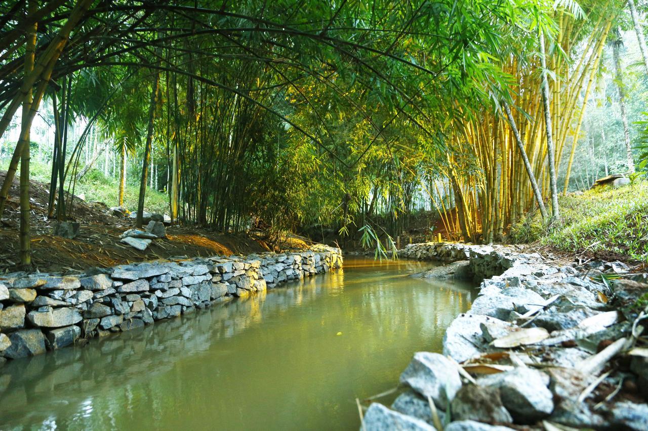Bamboo Creek Resort Vaduvanchal Buitenkant foto