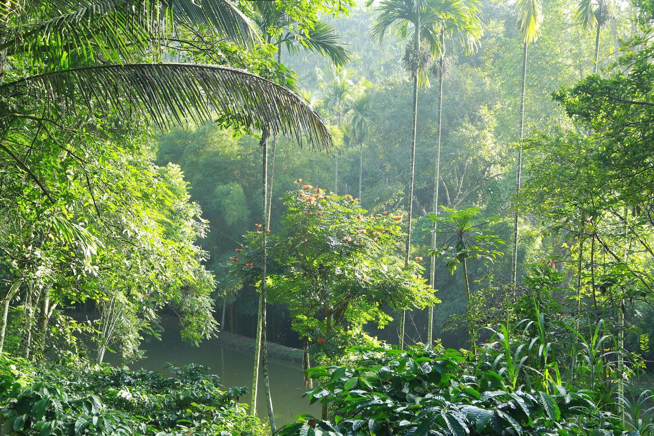 Bamboo Creek Resort Vaduvanchal Buitenkant foto