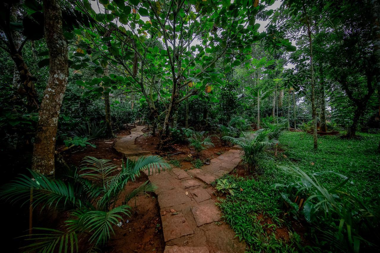 Bamboo Creek Resort Vaduvanchal Buitenkant foto