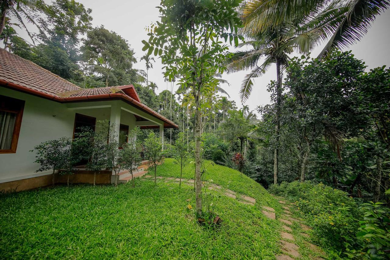 Bamboo Creek Resort Vaduvanchal Buitenkant foto