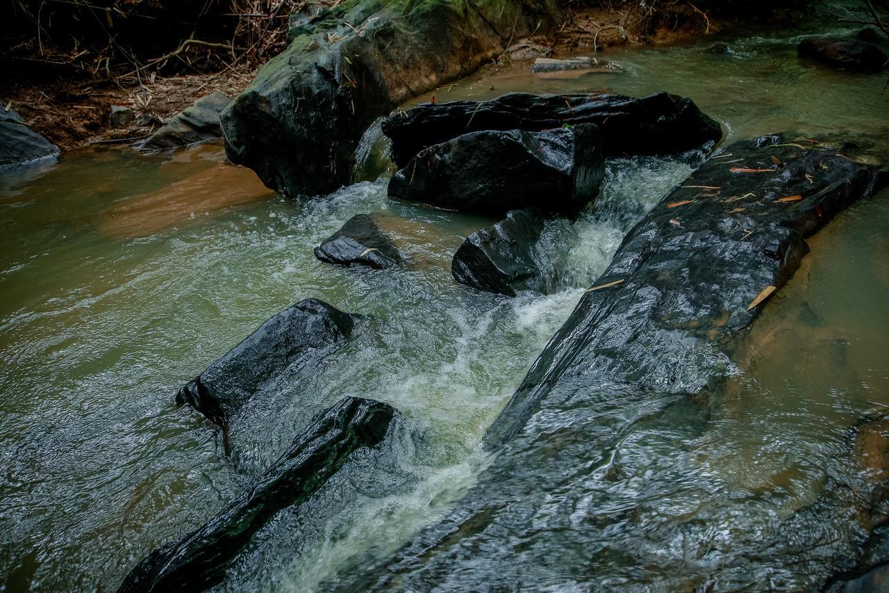 Bamboo Creek Resort Vaduvanchal Buitenkant foto