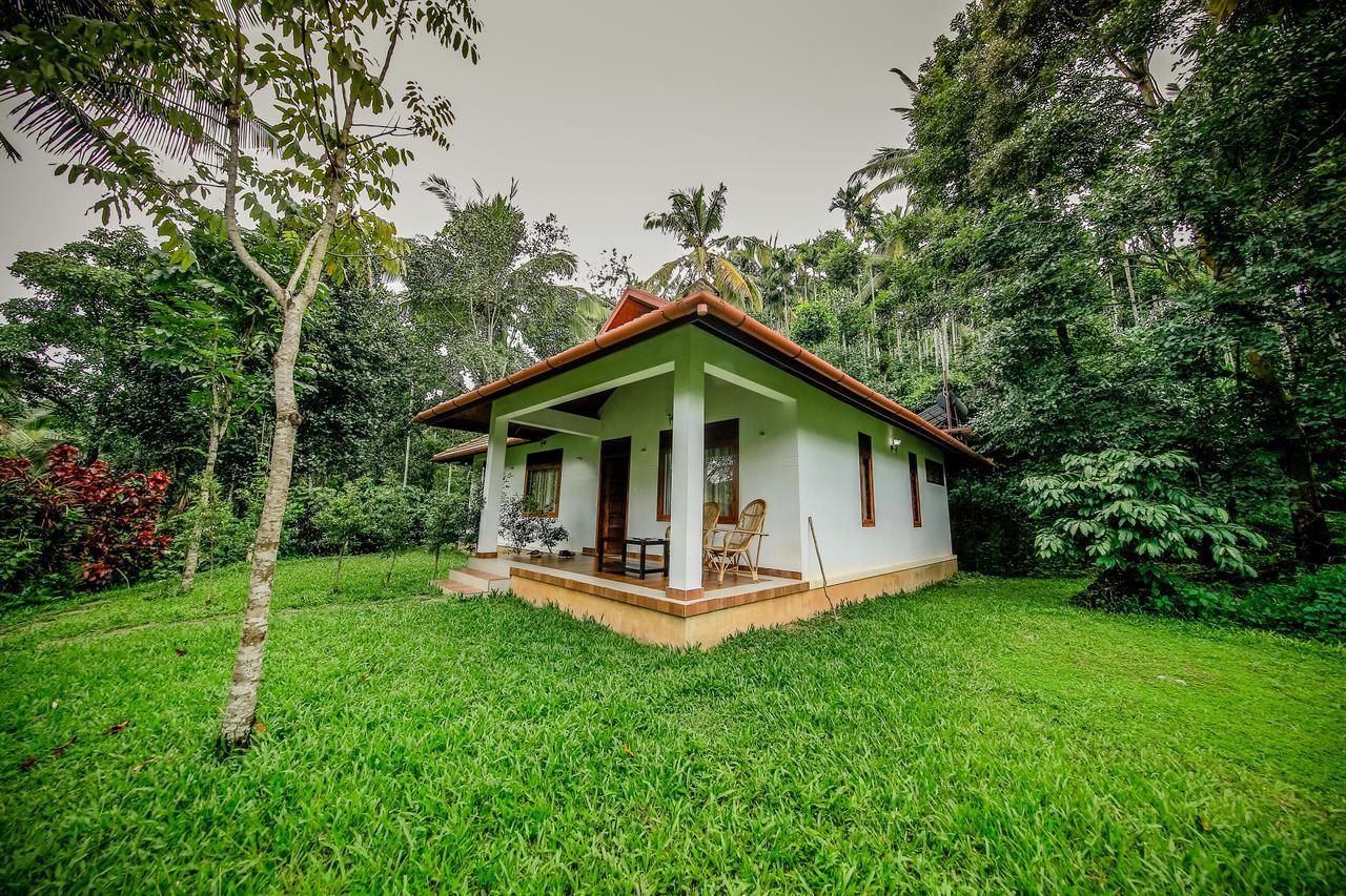 Bamboo Creek Resort Vaduvanchal Buitenkant foto