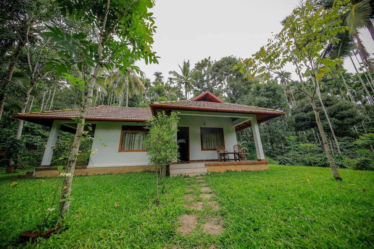 Bamboo Creek Resort Vaduvanchal Buitenkant foto