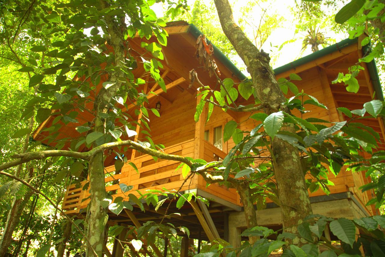 Bamboo Creek Resort Vaduvanchal Buitenkant foto