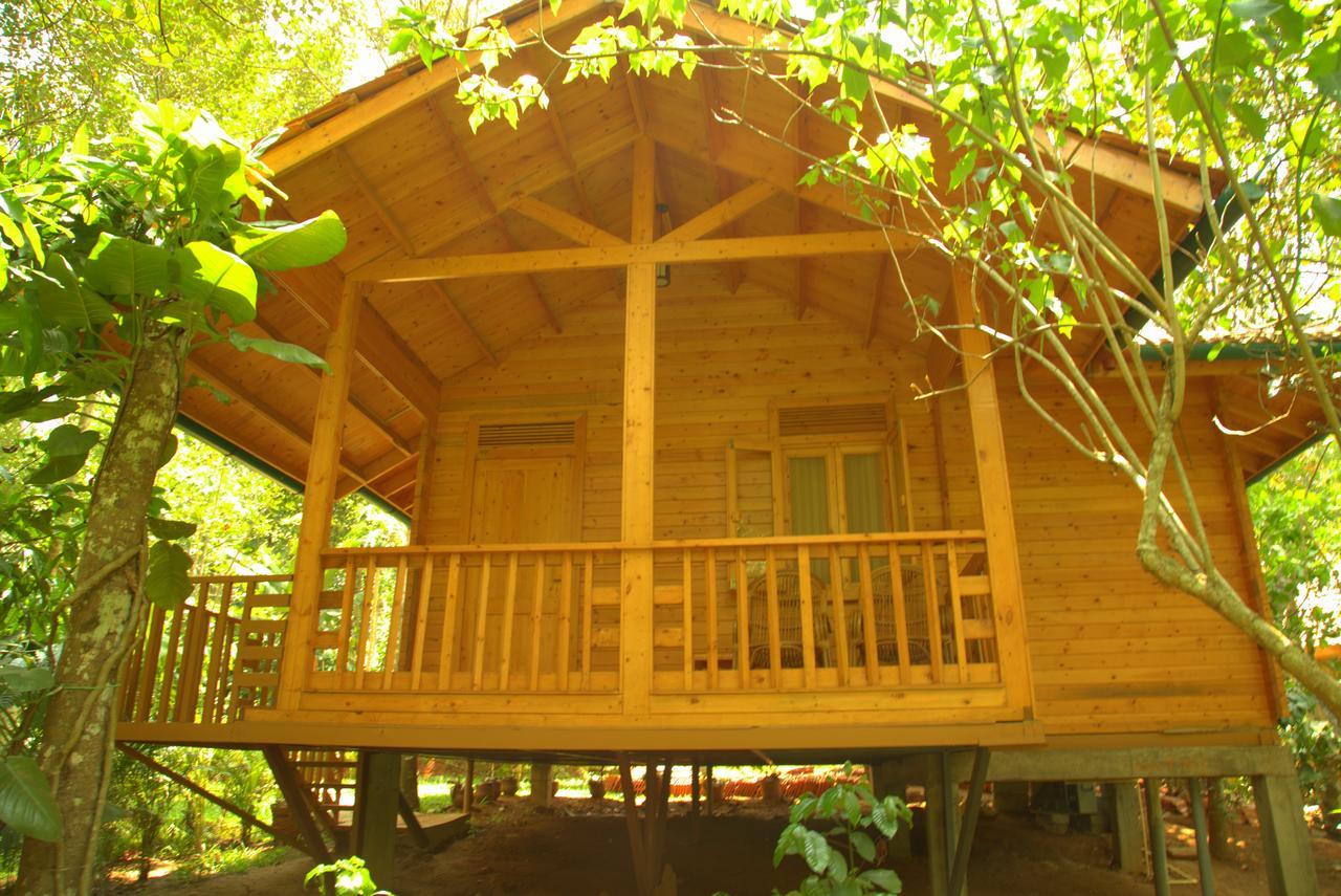 Bamboo Creek Resort Vaduvanchal Buitenkant foto