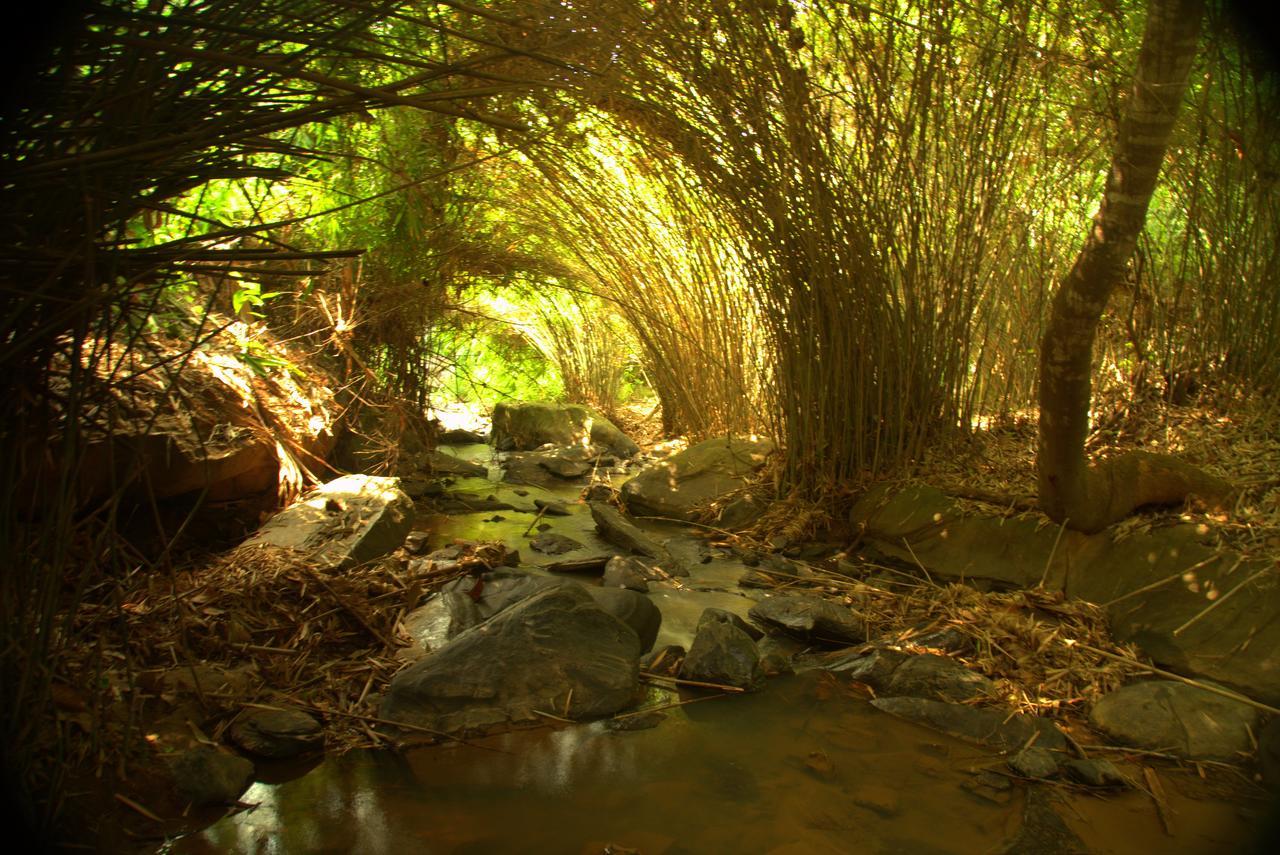 Bamboo Creek Resort Vaduvanchal Buitenkant foto