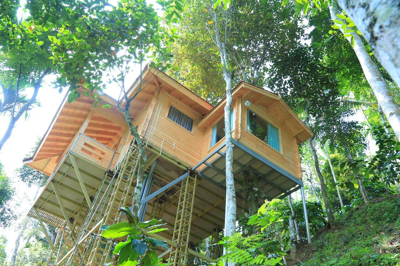 Bamboo Creek Resort Vaduvanchal Buitenkant foto