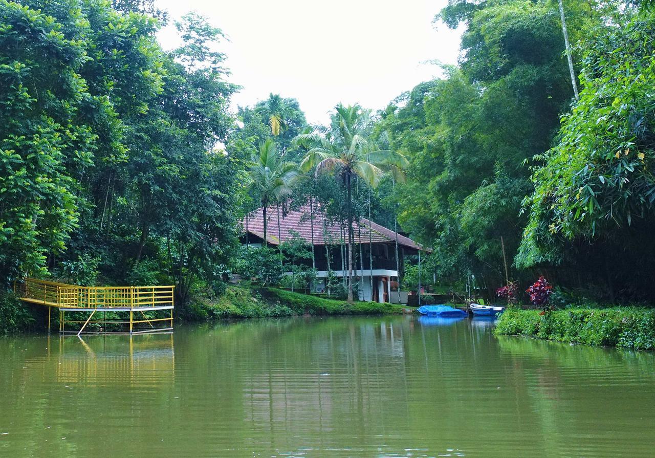 Bamboo Creek Resort Vaduvanchal Buitenkant foto
