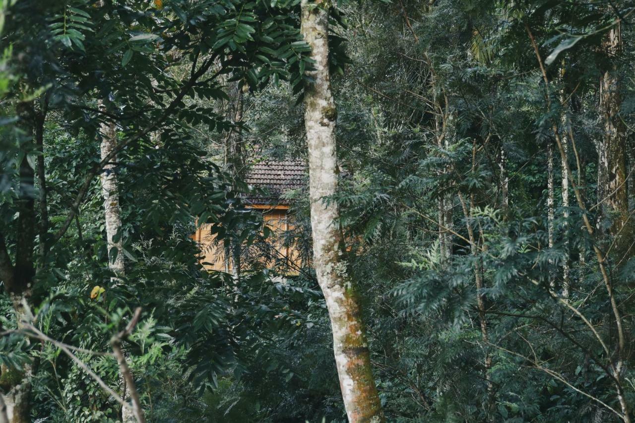 Bamboo Creek Resort Vaduvanchal Buitenkant foto