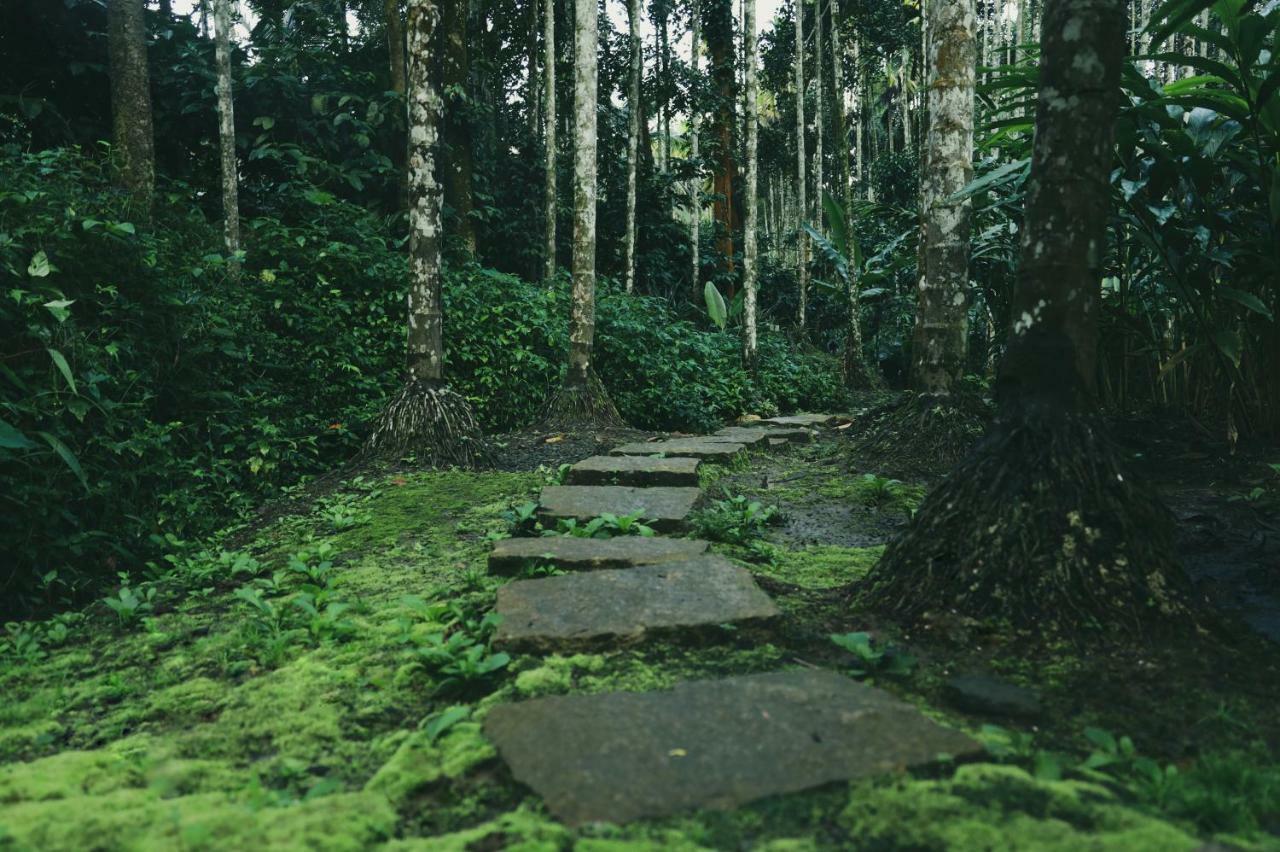 Bamboo Creek Resort Vaduvanchal Buitenkant foto