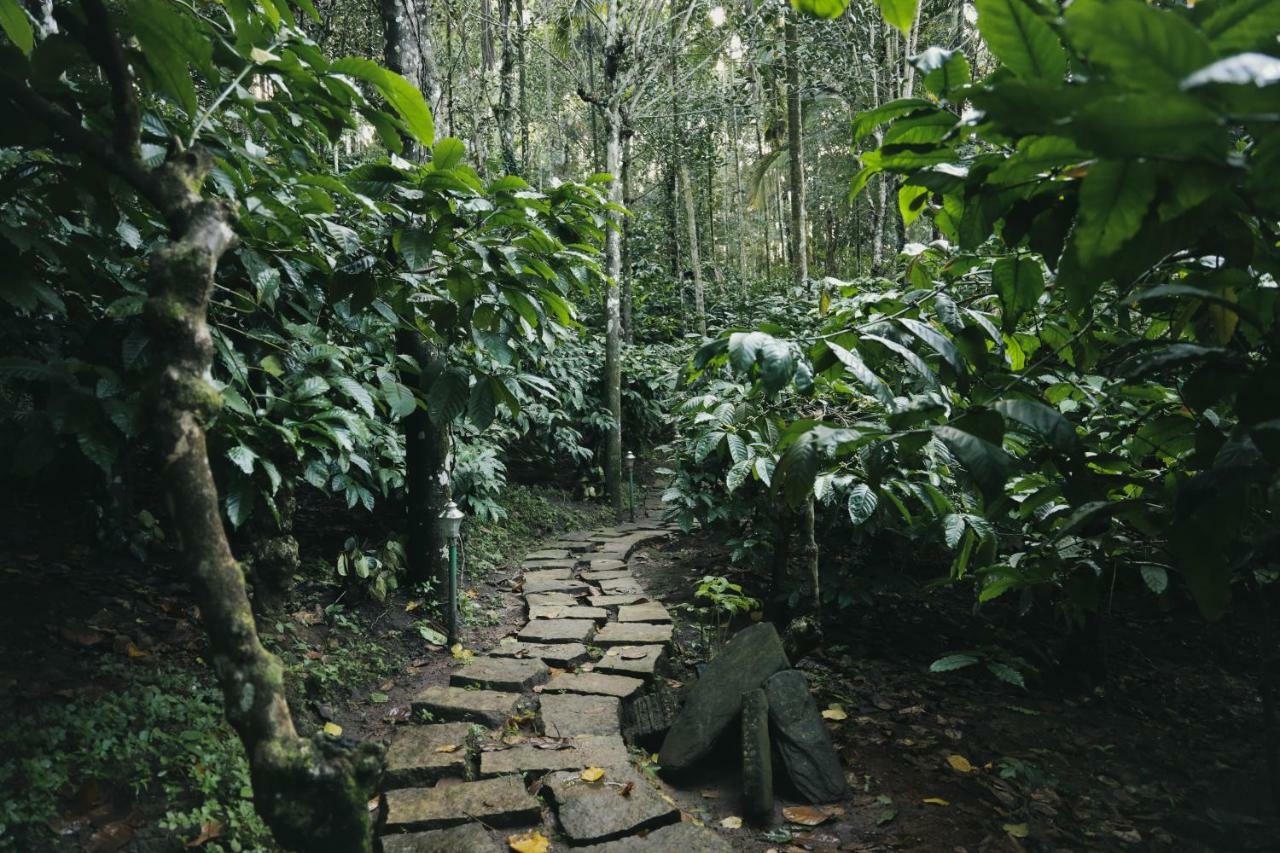 Bamboo Creek Resort Vaduvanchal Buitenkant foto