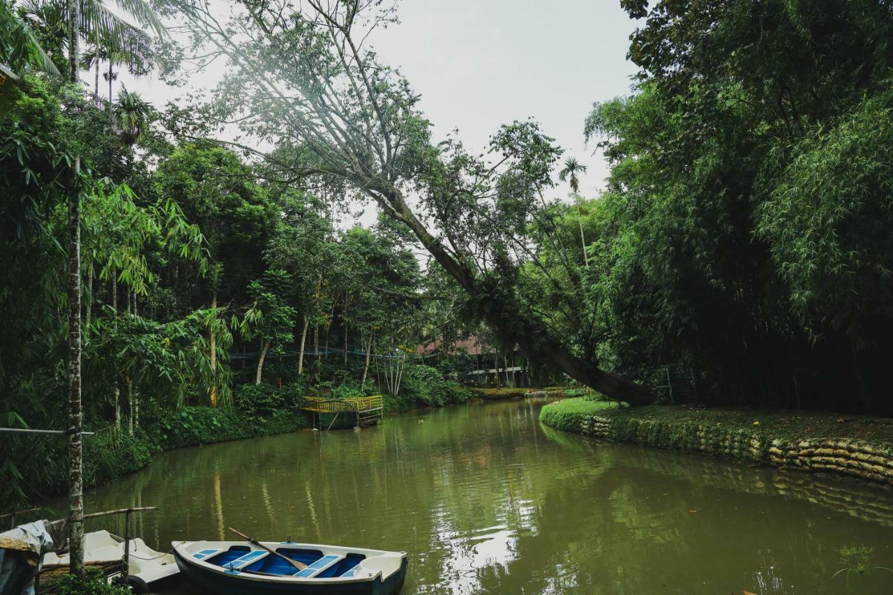 Bamboo Creek Resort Vaduvanchal Buitenkant foto