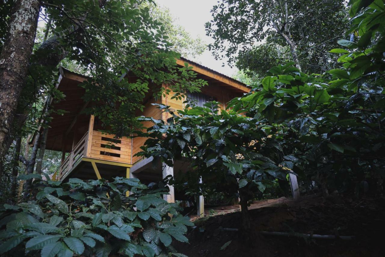 Bamboo Creek Resort Vaduvanchal Buitenkant foto