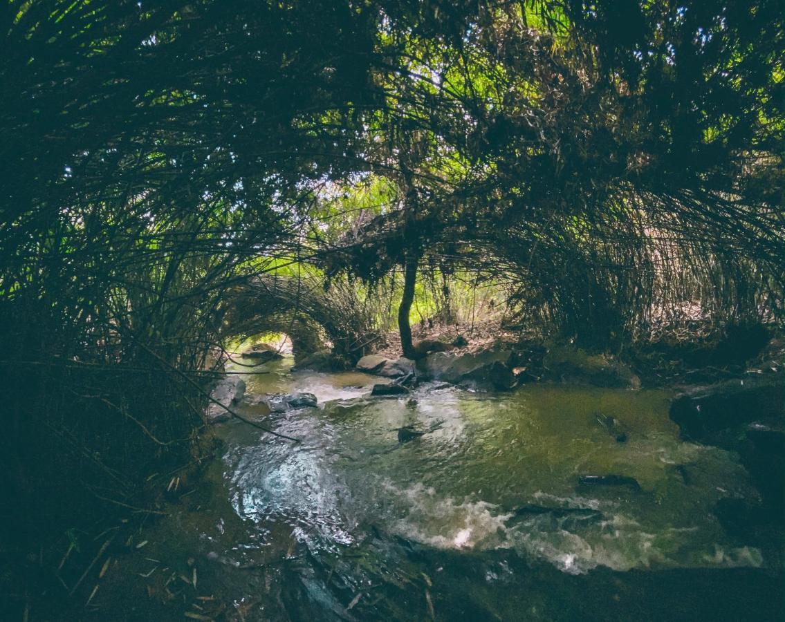 Bamboo Creek Resort Vaduvanchal Buitenkant foto